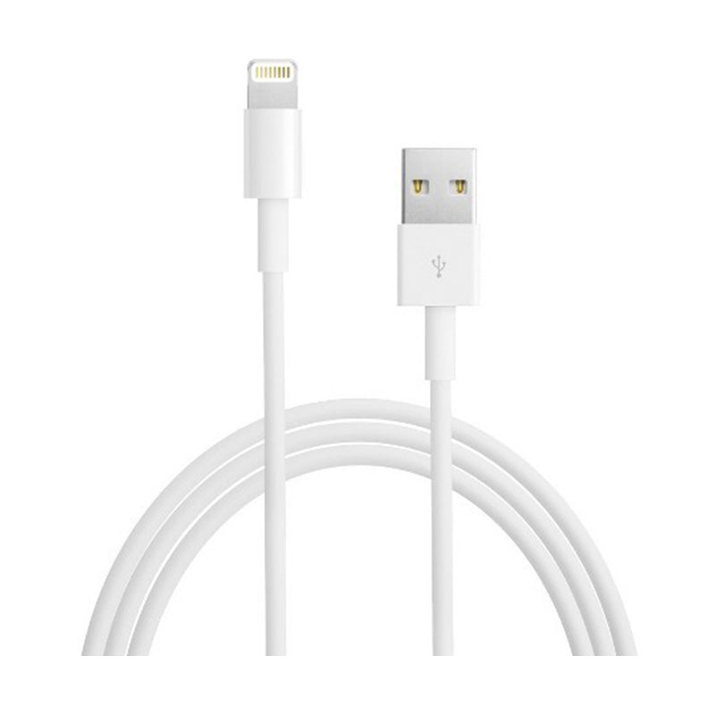 Apple USB Type A to Lightning Cable (1 m)