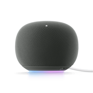 Google Home Smart Speaker