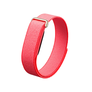 Google Fitbit Air