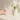 Xiaomi Mijia Sonic Electric Toothbrush T200